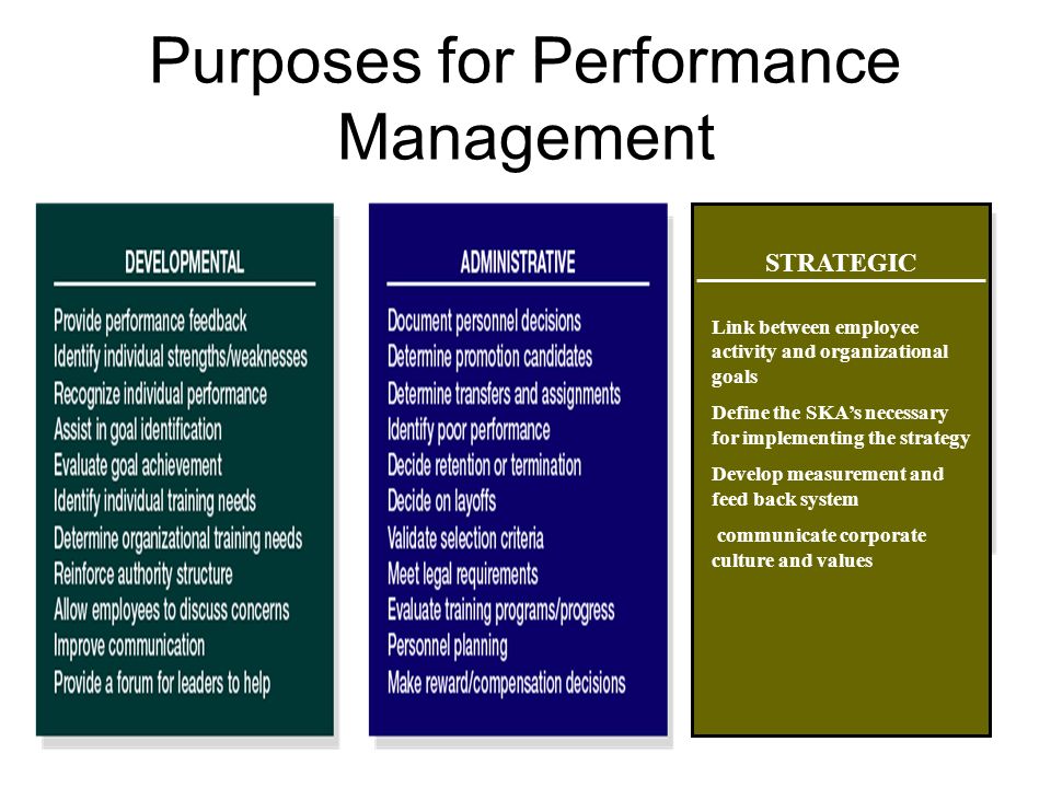 Performance Management - Meaning, System and Process